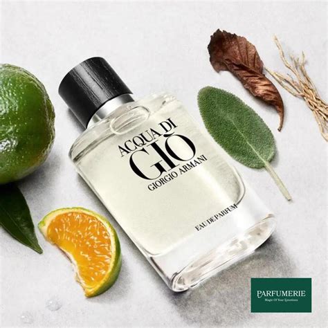 giorgio armani acqua di gio günstig|acqua di gio edp 2022.